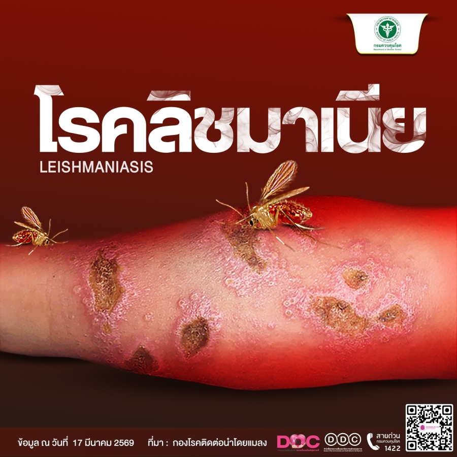 ทำความรู้จักกับโรคติดต่อที่มากับแมลงตัวจิ๋วแต่พิษสงร้ายกาจ พร้อมวิธีป้องกันตัวเองให้ปลอดภัย